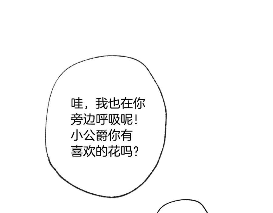 第239页