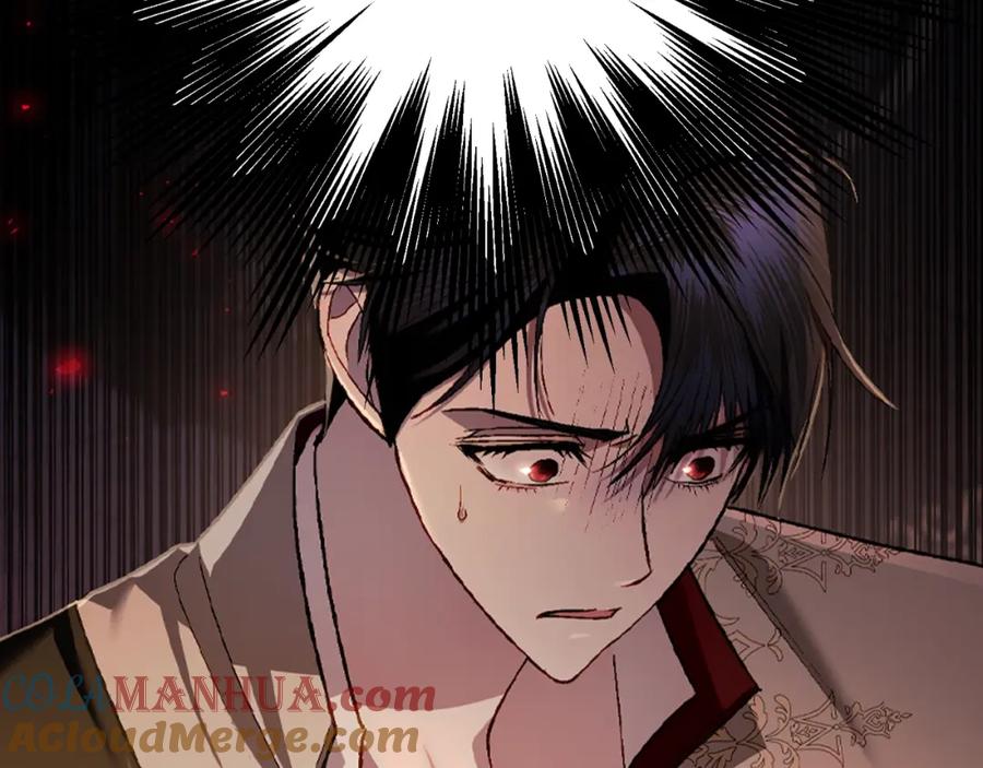 第217页