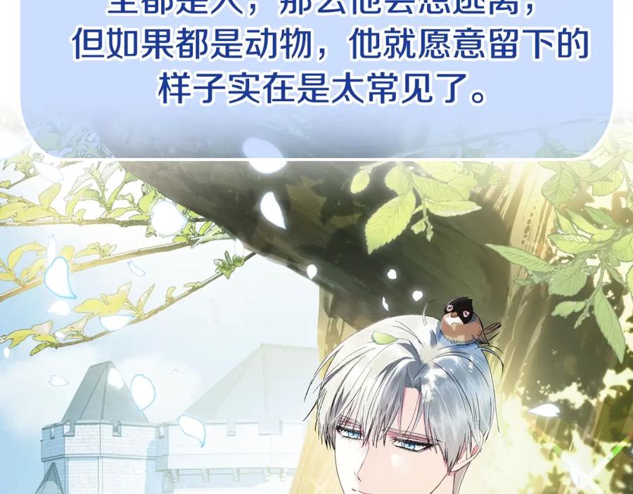 第254页