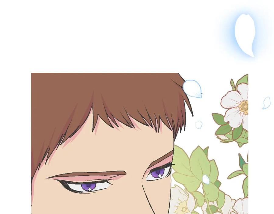 第242页