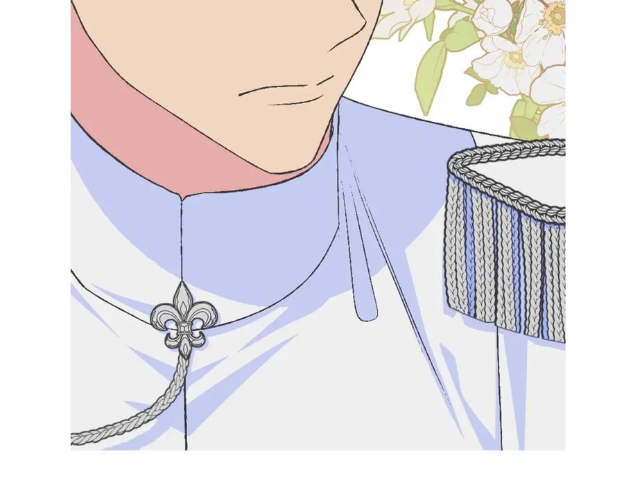 第243页
