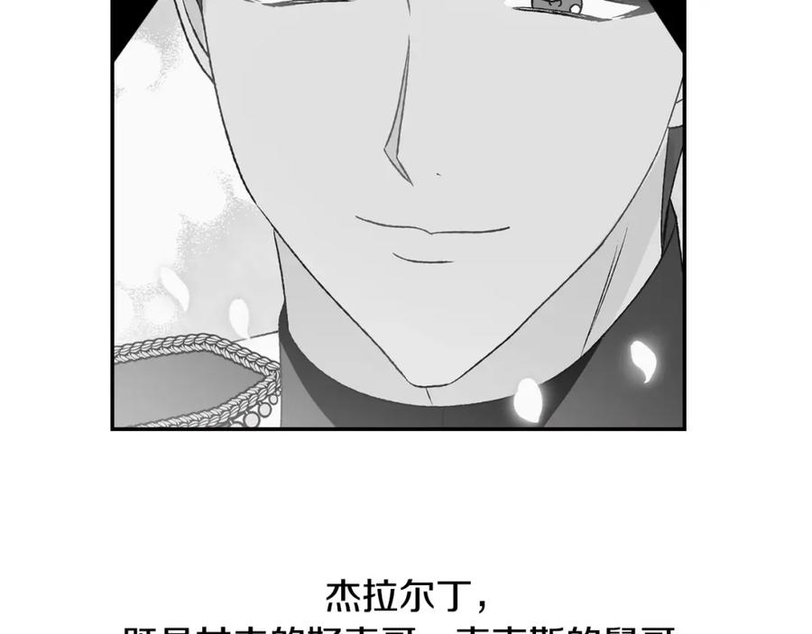 第251页