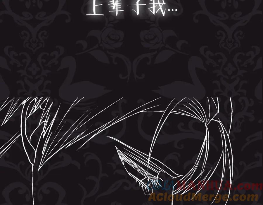 第233页
