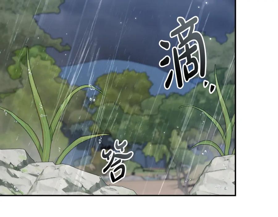 第215页