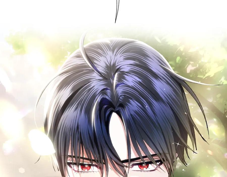 第278页