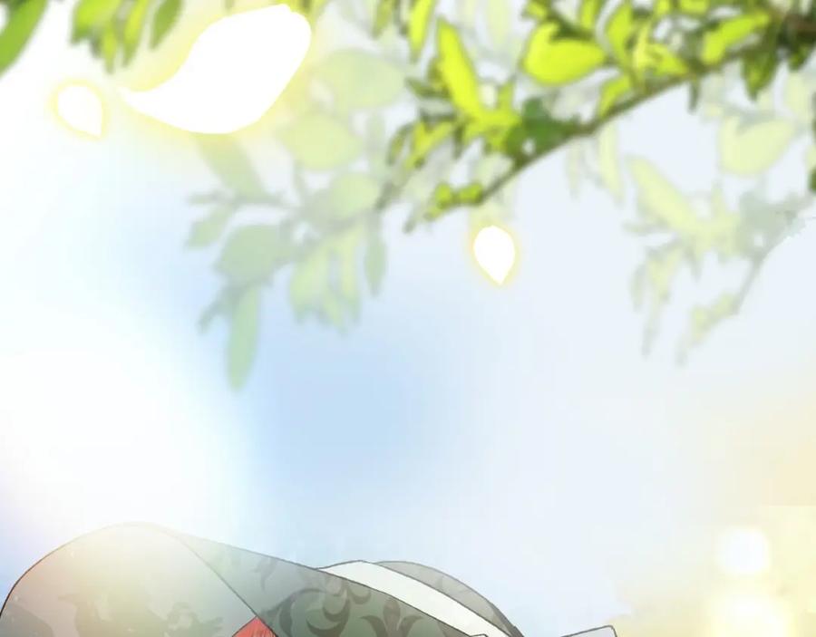 第223页