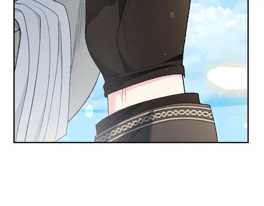 第242页