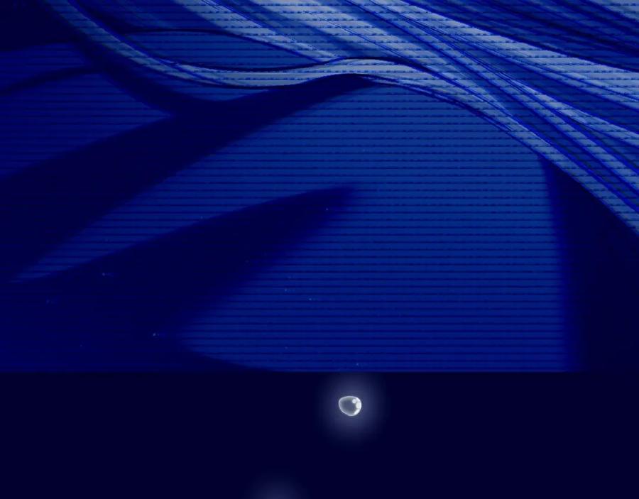 第242页