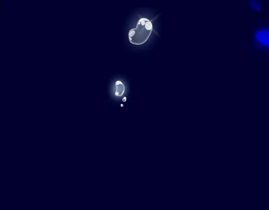 第244页