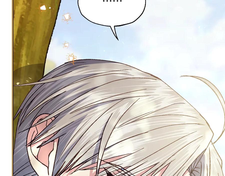 第246页