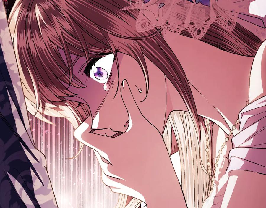 第216页