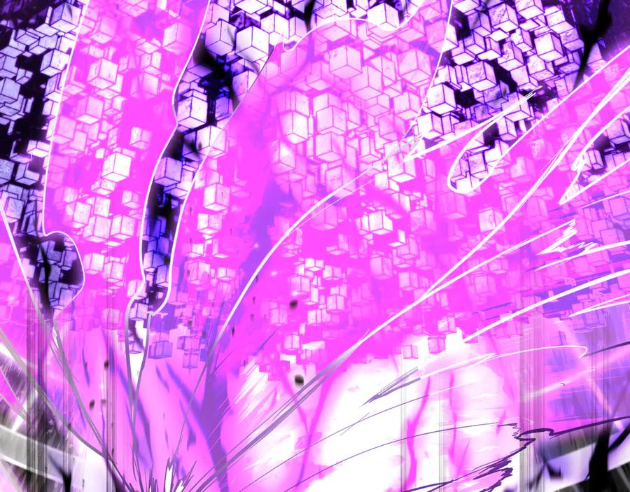 第223页