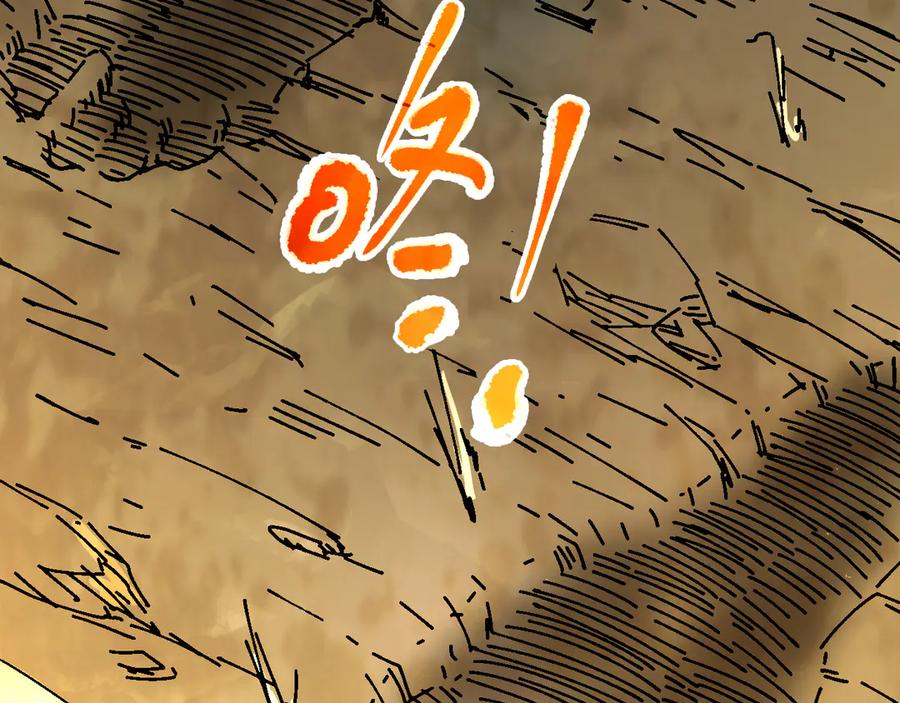 第256页