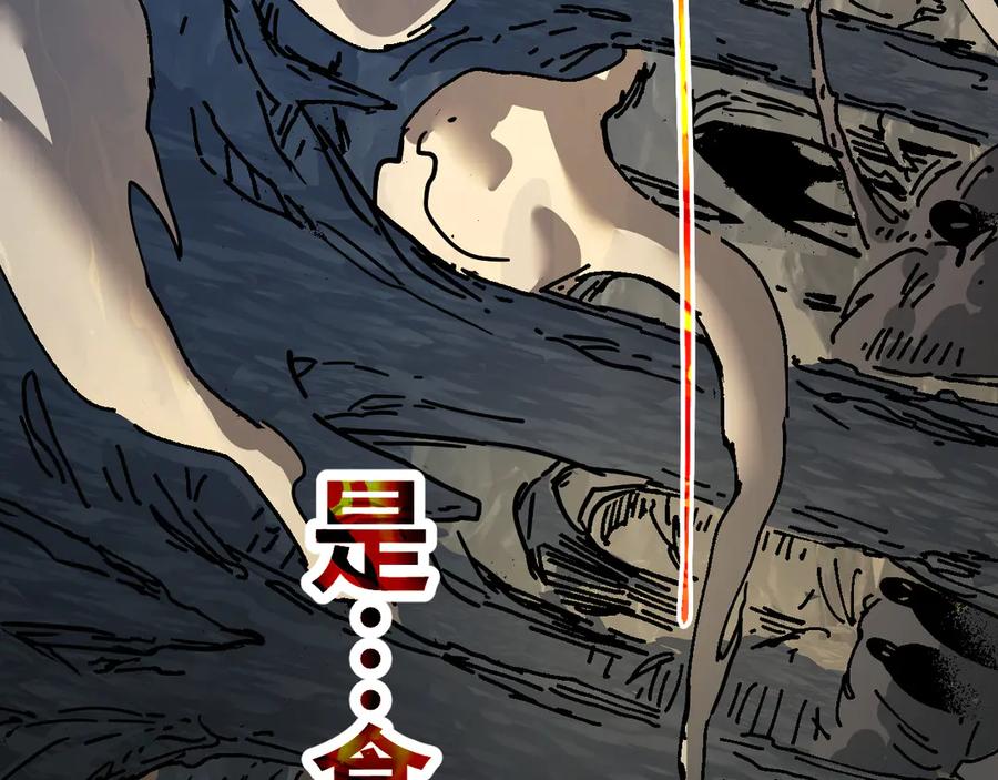 第264页