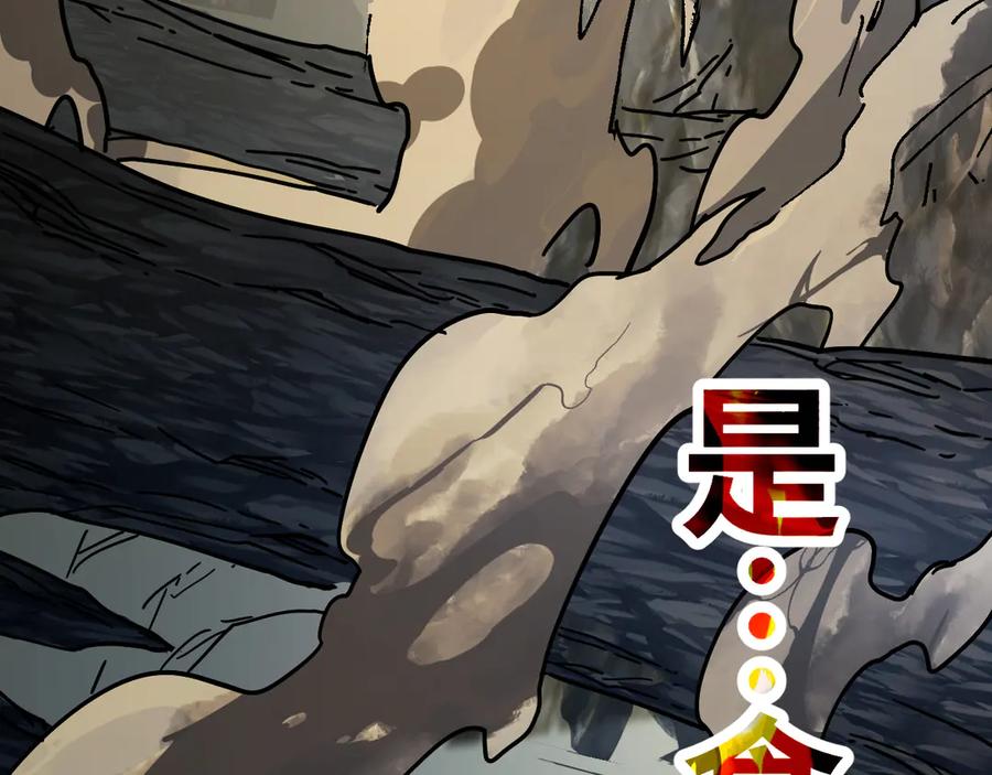 第268页