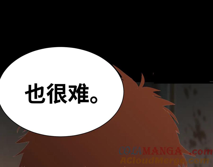 第205页