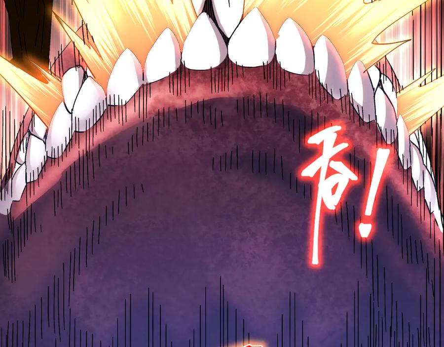 第202页
