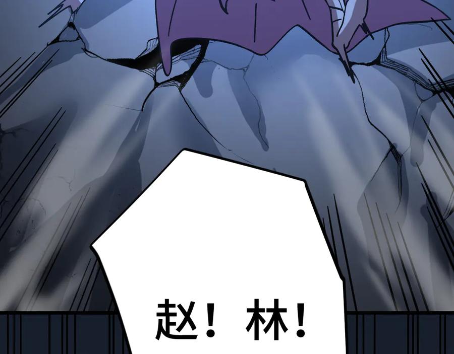 第223页