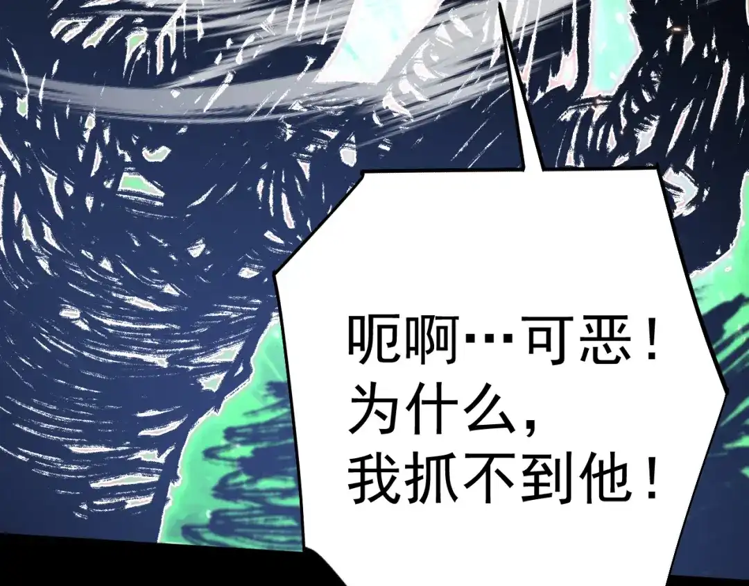 第205页