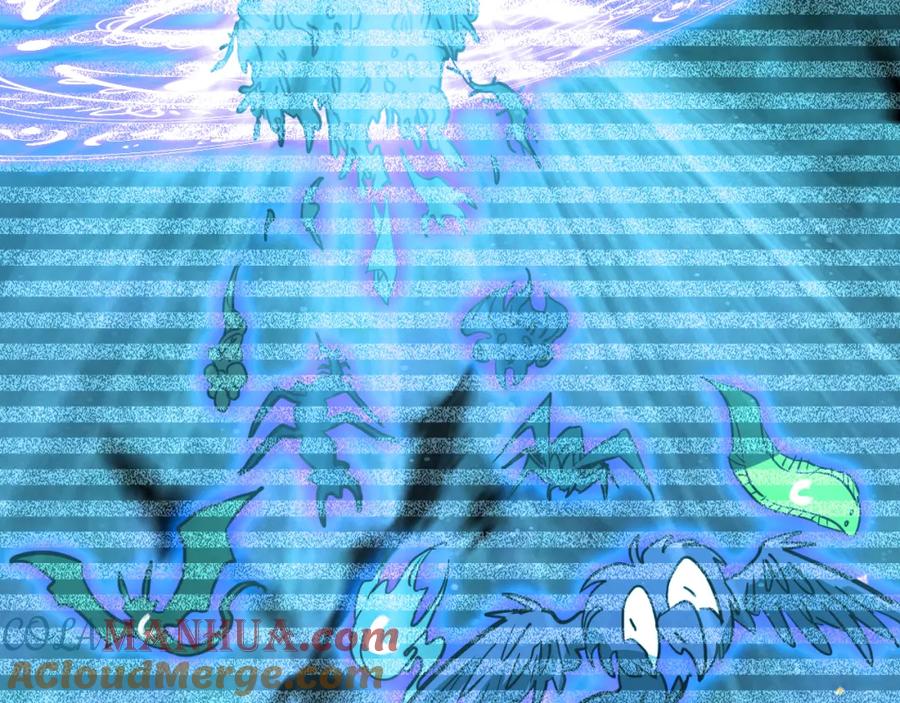 第205页