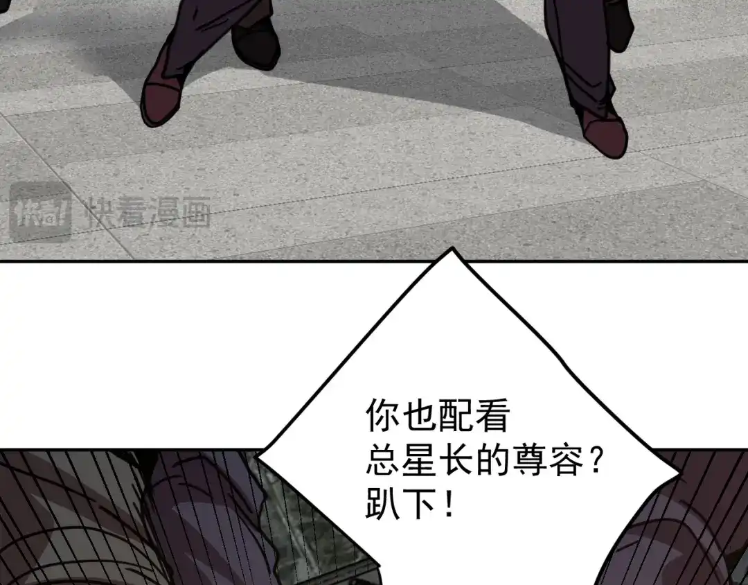 第267页