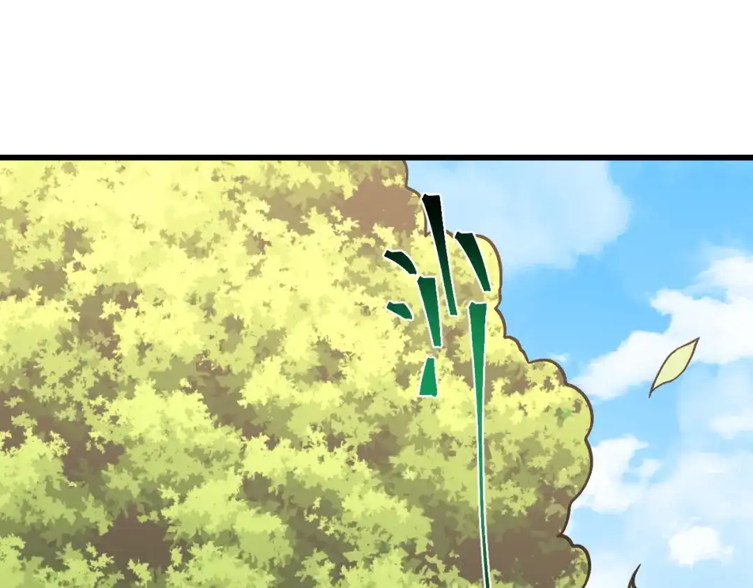 第215页