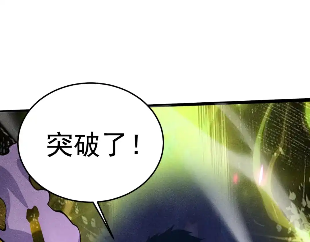 第335页