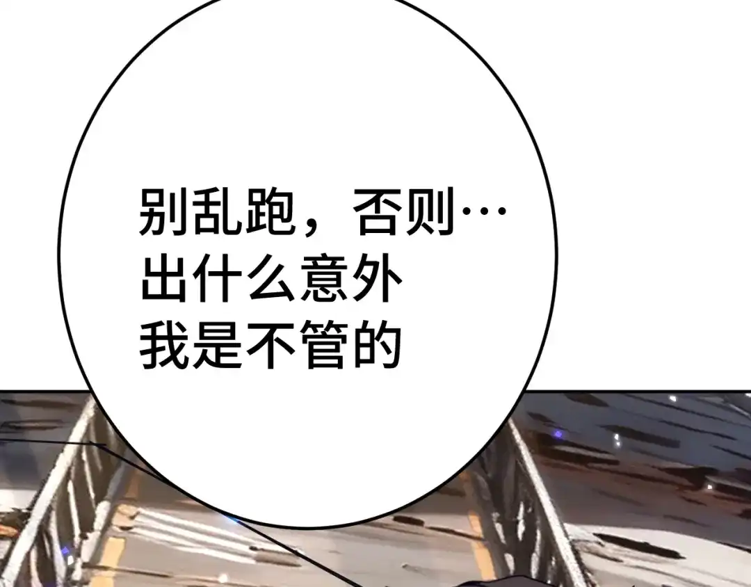 第260页