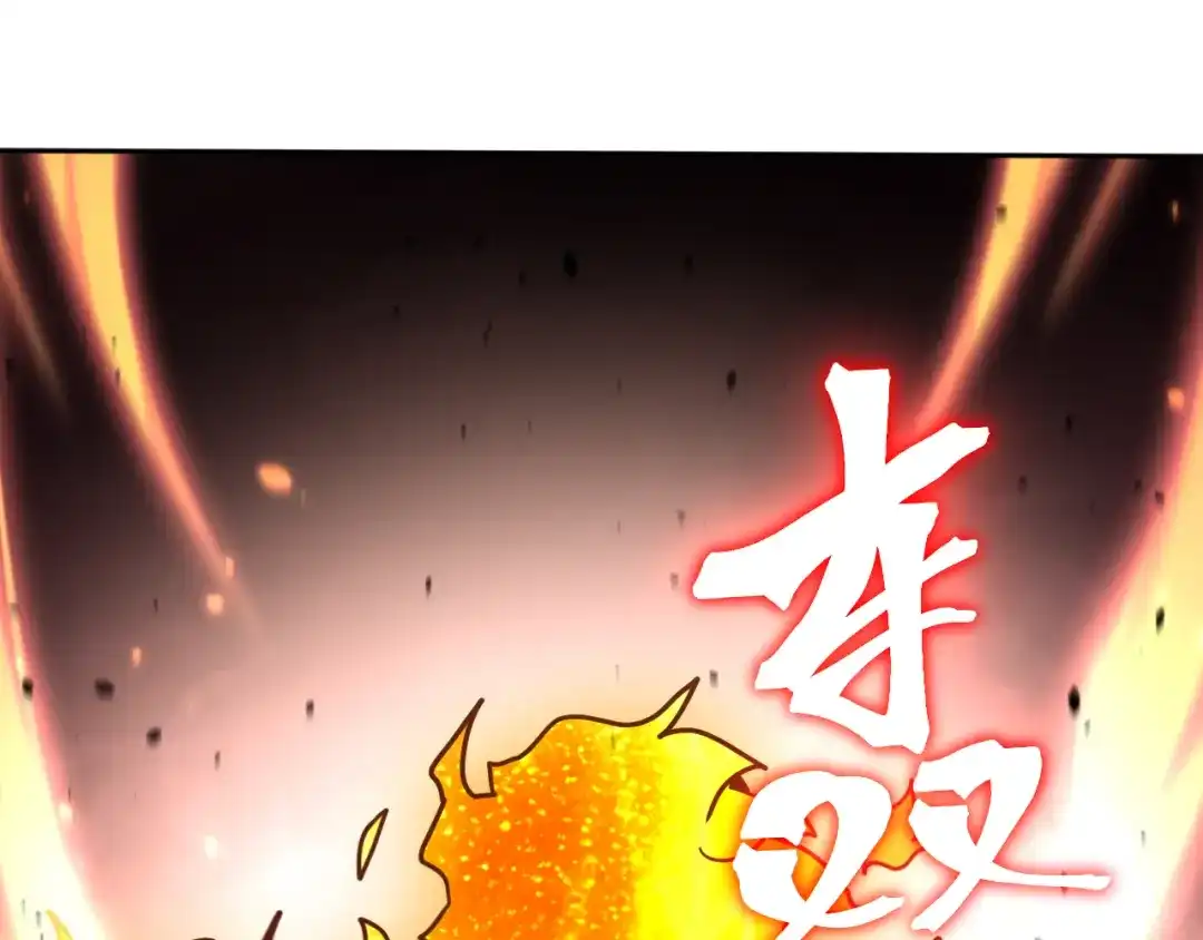 第455页