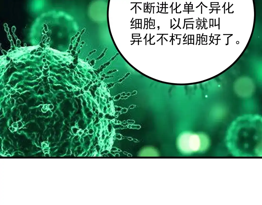 第223页