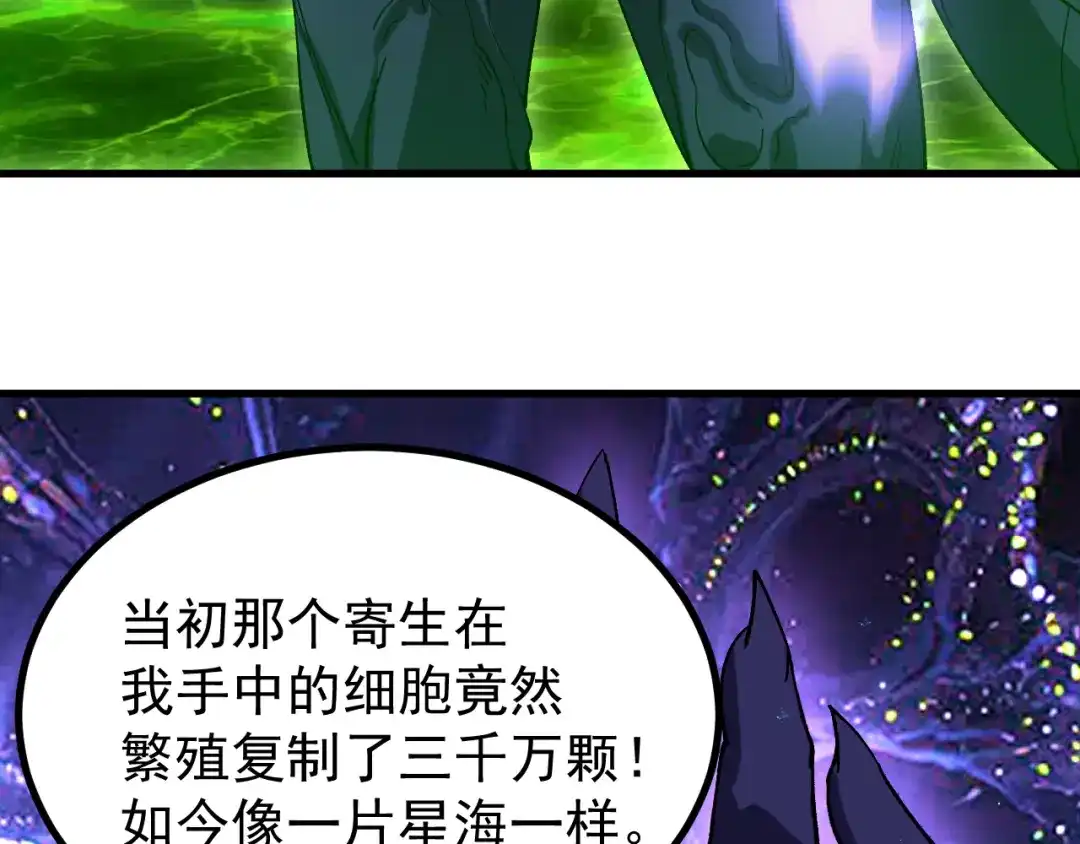 第241页
