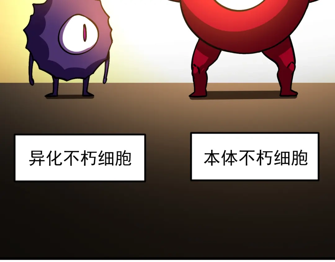 第256页