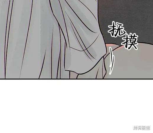 第244页