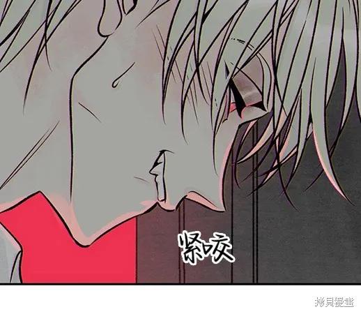 第246页