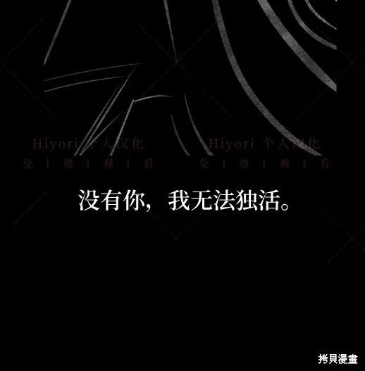 第223页