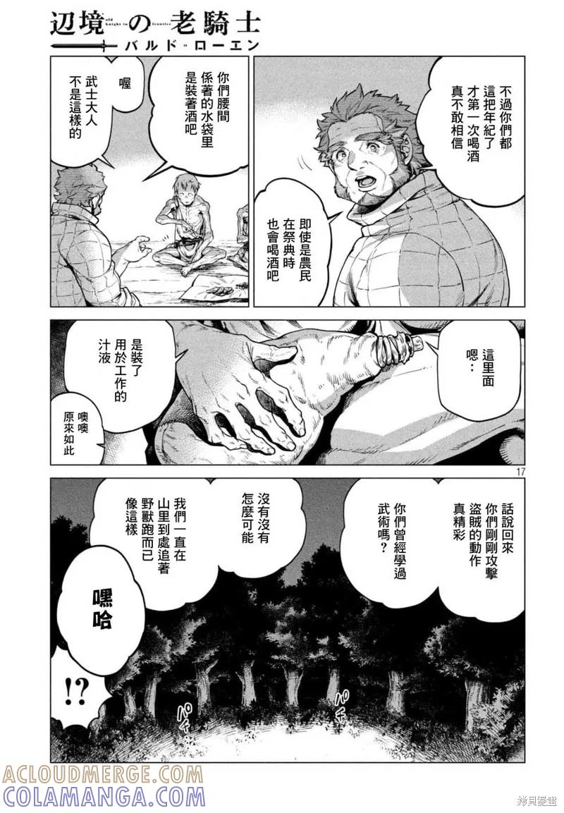 第17页