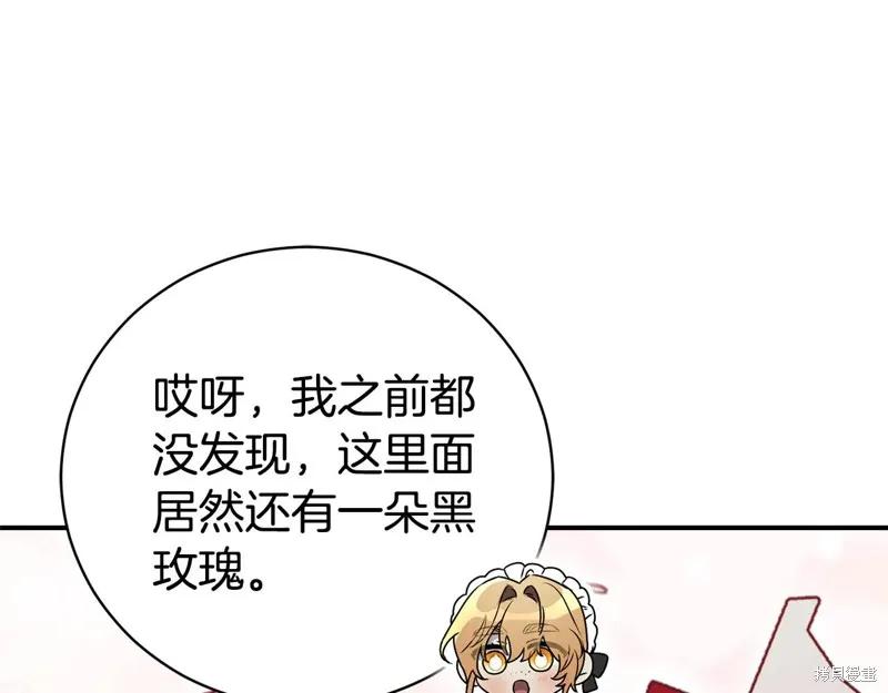 第244页