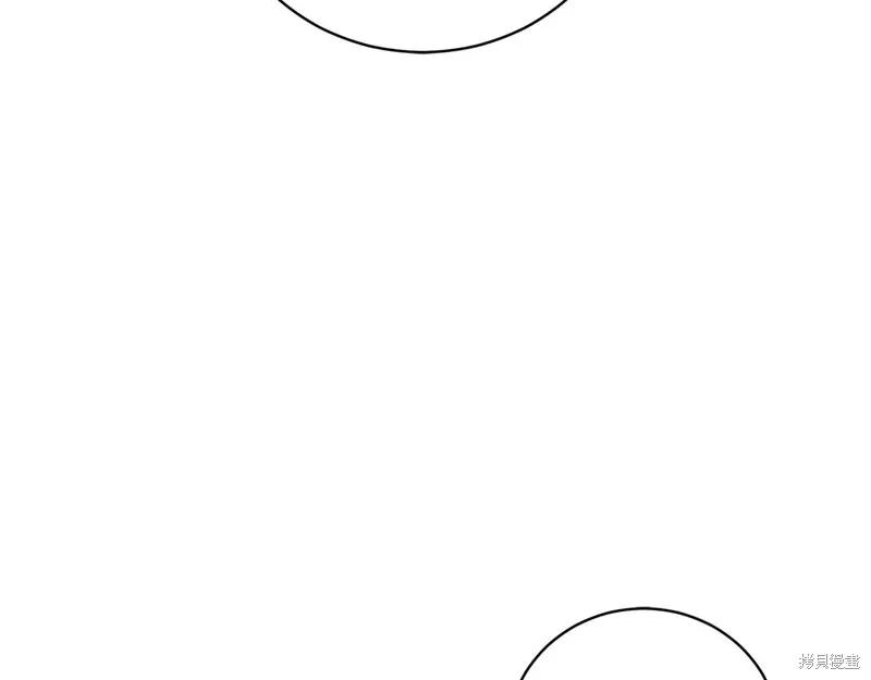 第247页