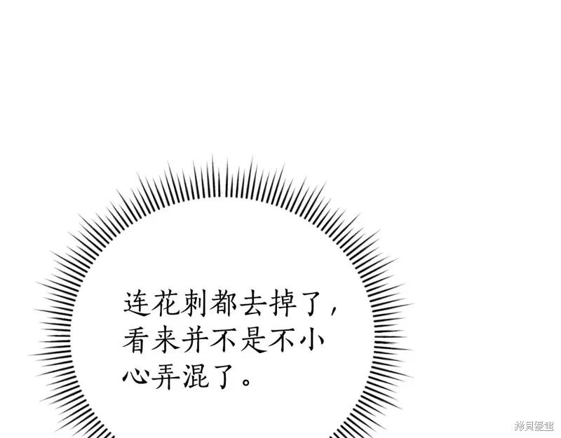 第251页