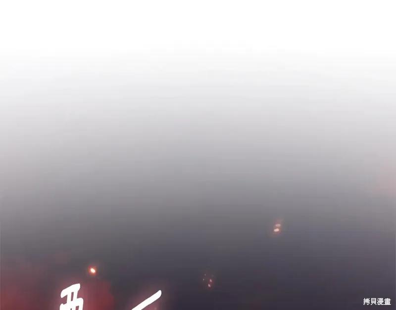 第223页