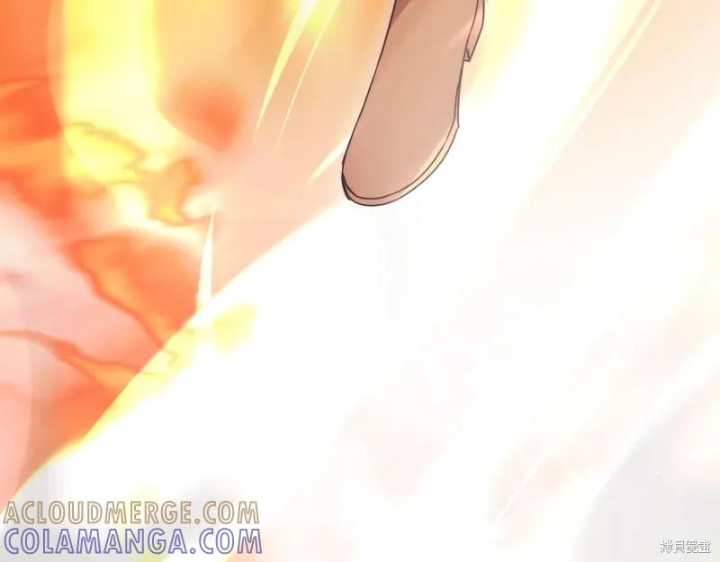 第237页