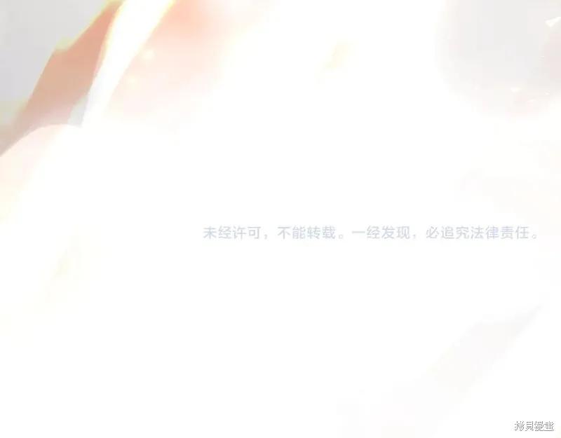 第238页
