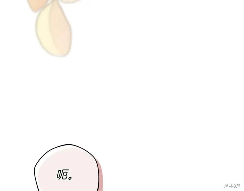 第254页
