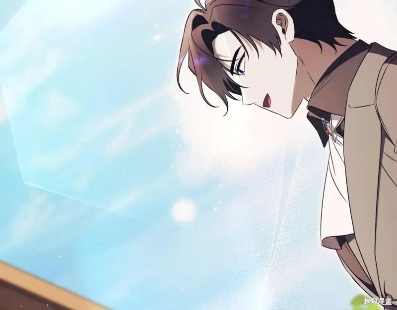 第291页
