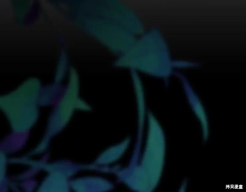 第214页