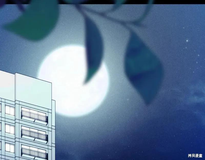 第215页