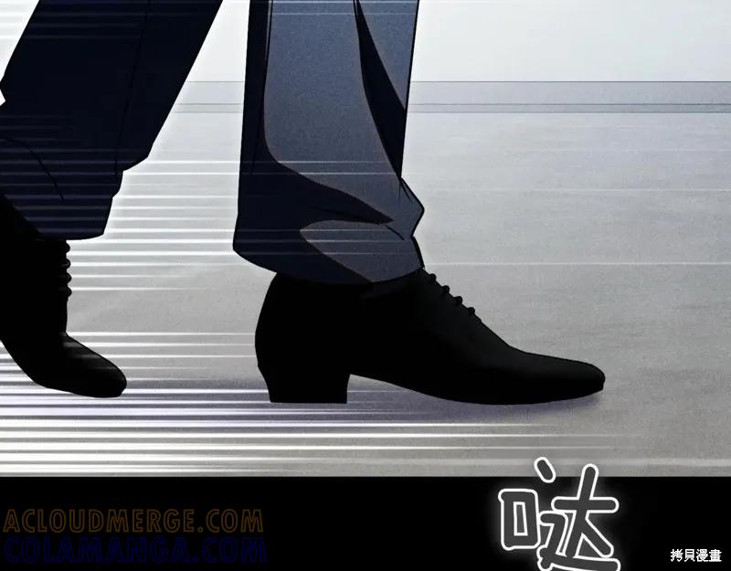 第221页