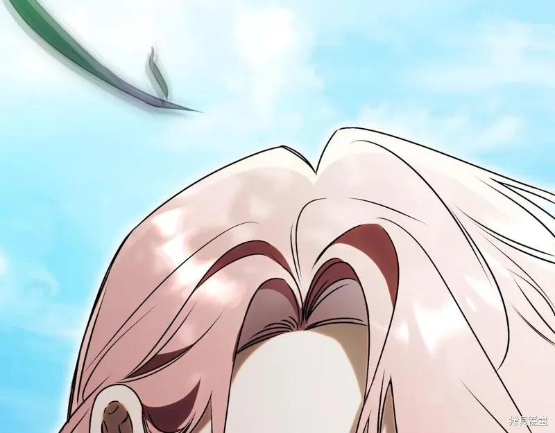 第255页