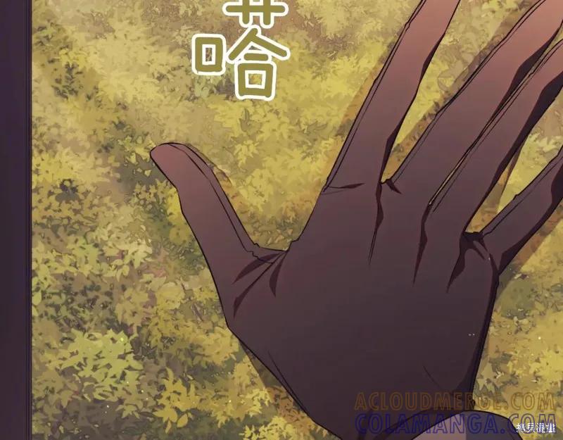 第293页