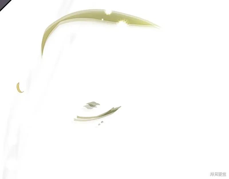 第251页